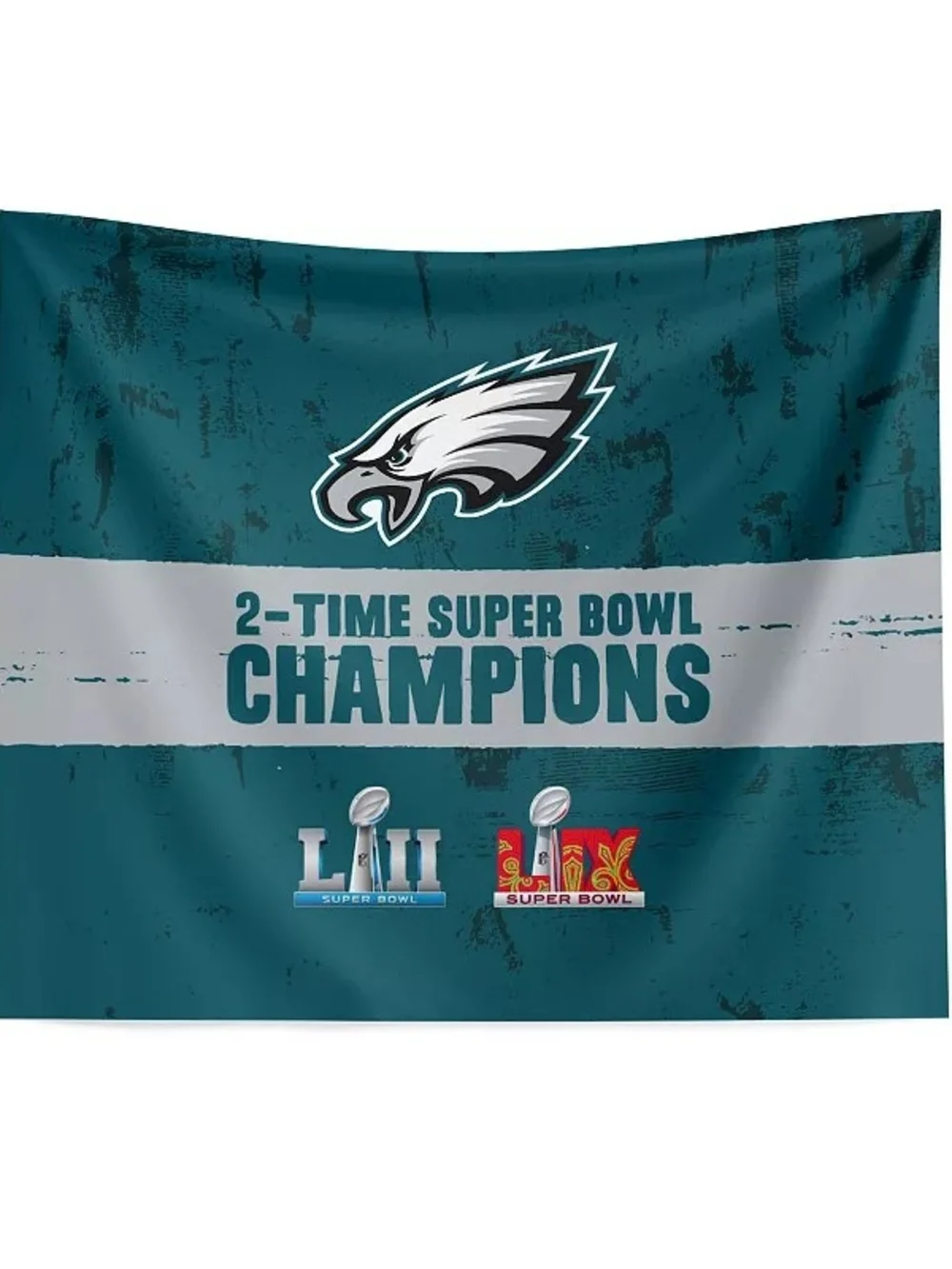 Philadelphia Eagles Super Bowl LIX Champion Excellence Hanging Tapestry Wall Dec